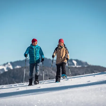 Sommerbichl Ferienhaus Embach